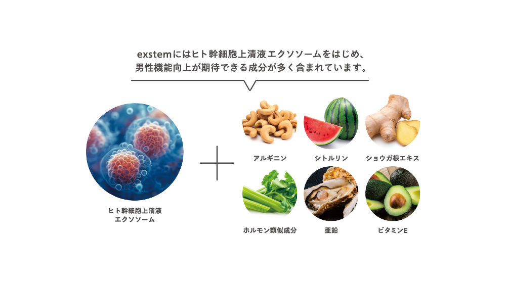 【期間限定】Exstem エクステム 5,000円OFF|今だけ特別価格!