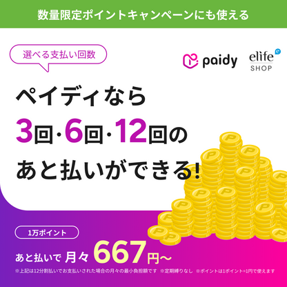 あと払い（ペイディ）決済可能 大好評『ポイント最大30%OFF』