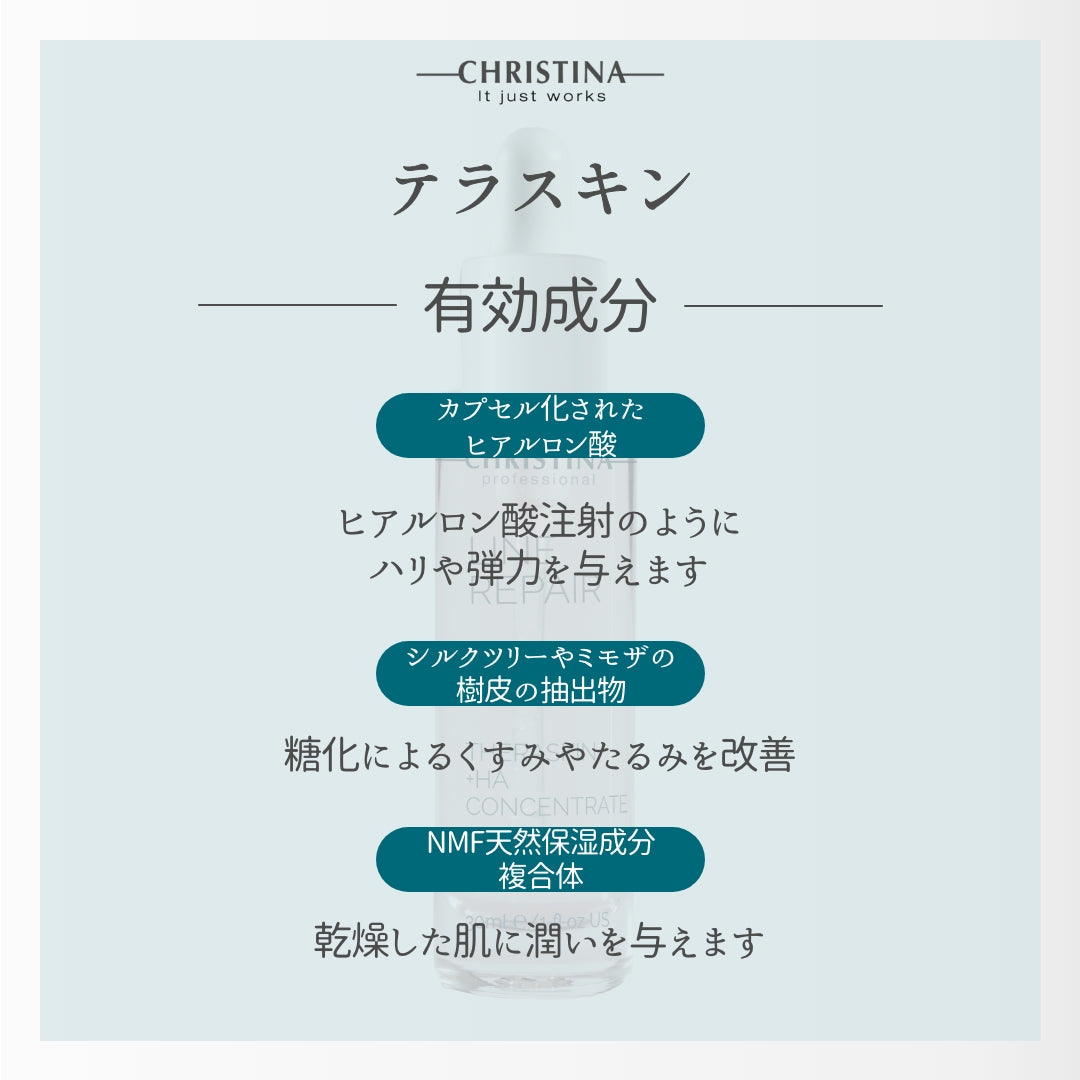 クリスマスコフレ クリスティーナ ギフトセット