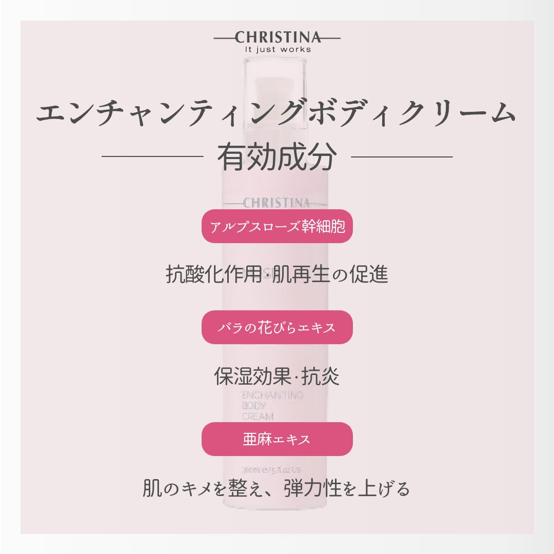 クリスマスコフレ クリスティーナ ギフトセット