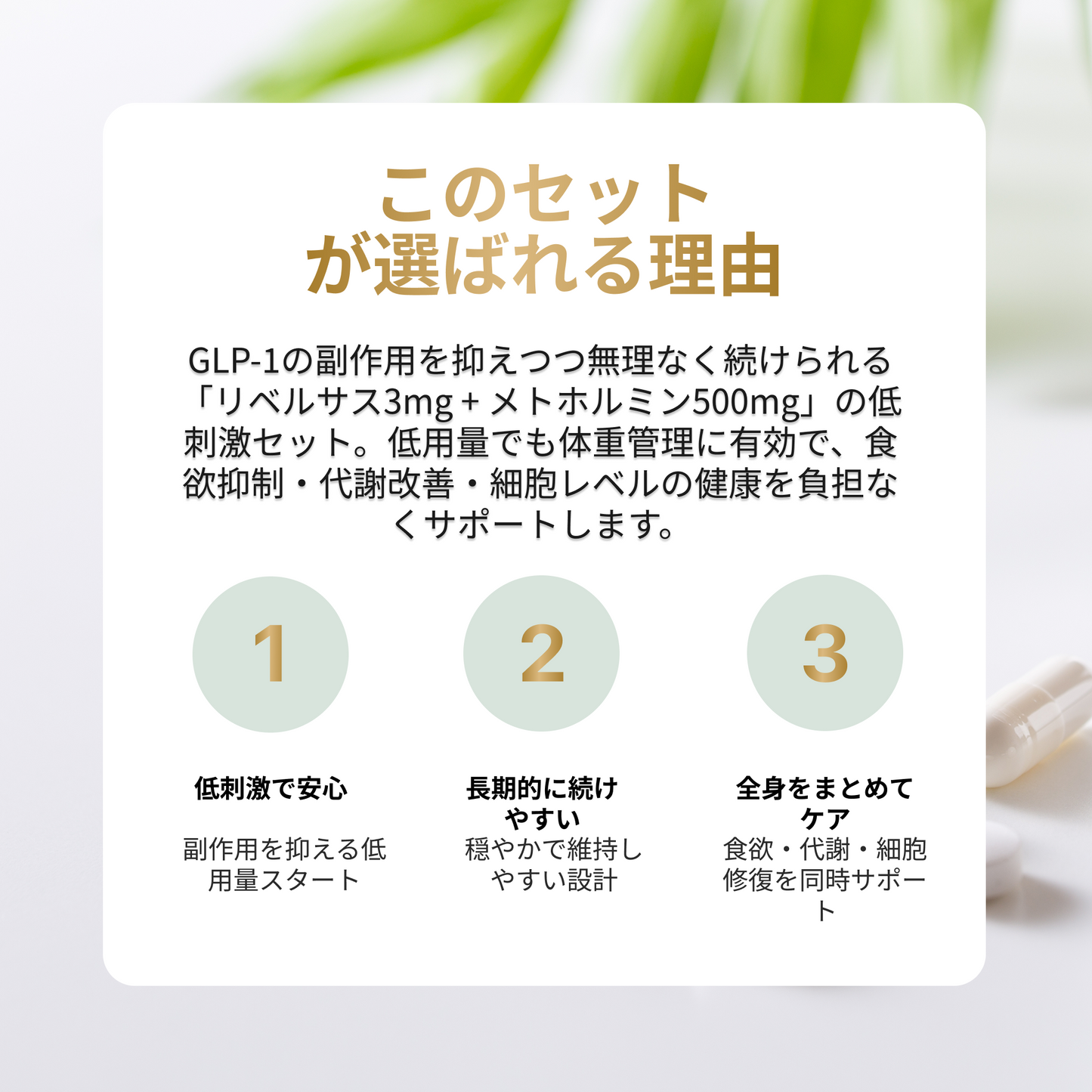 【eクーポン】アンチエイジングセット 飲むGLP-1錠剤 リベルサス + メトホルミン