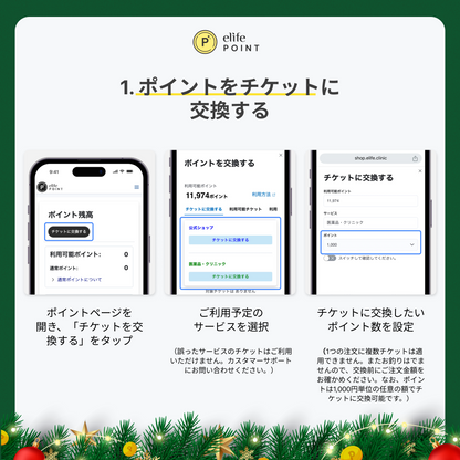 ポイント購入（2025/12/25 正午まで）