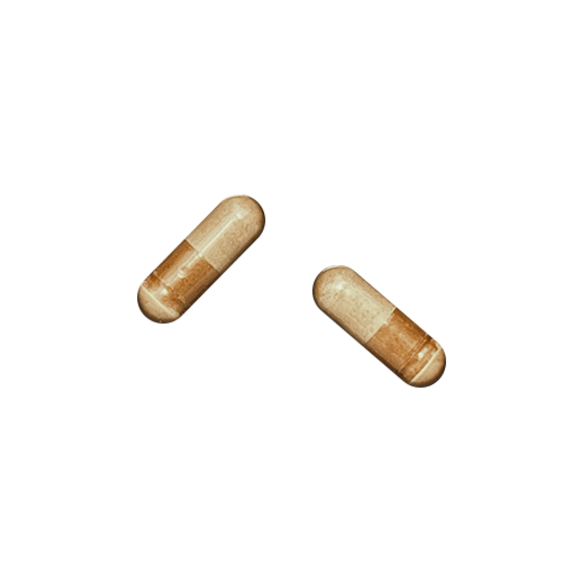 飲むプラセンタ ピュアプラセンタDR – elife公式ショップ 飲むプラセンタ ピュアプラセンタDR – elife公式ショップ